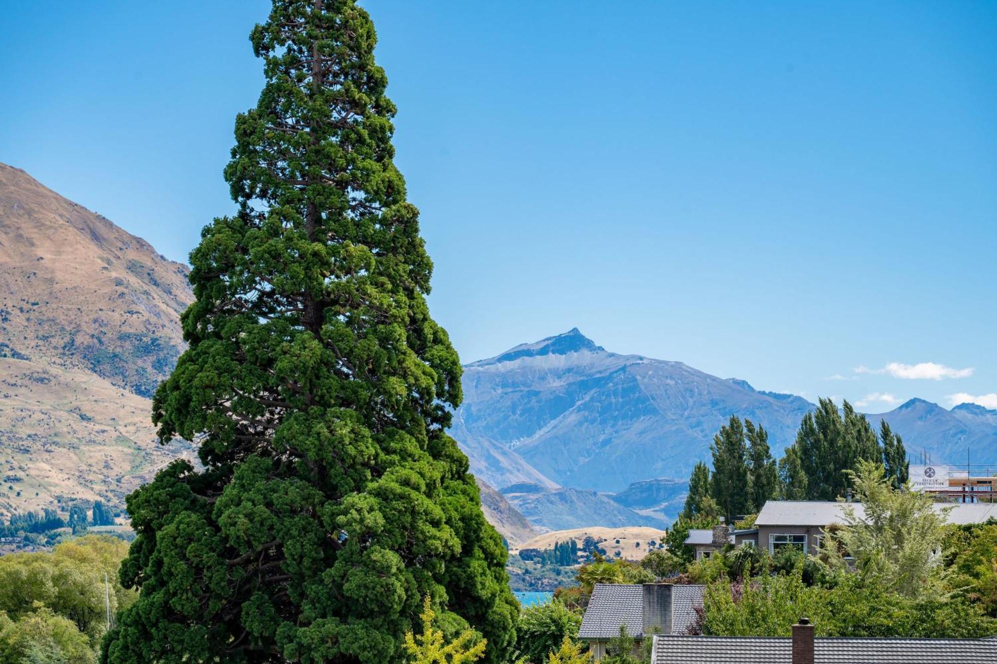 Lakeside Luxury 2 Bedroom Apartment Wanaka Kültér fotó